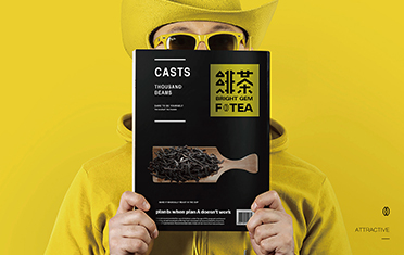 阳泉绯茶品牌设计